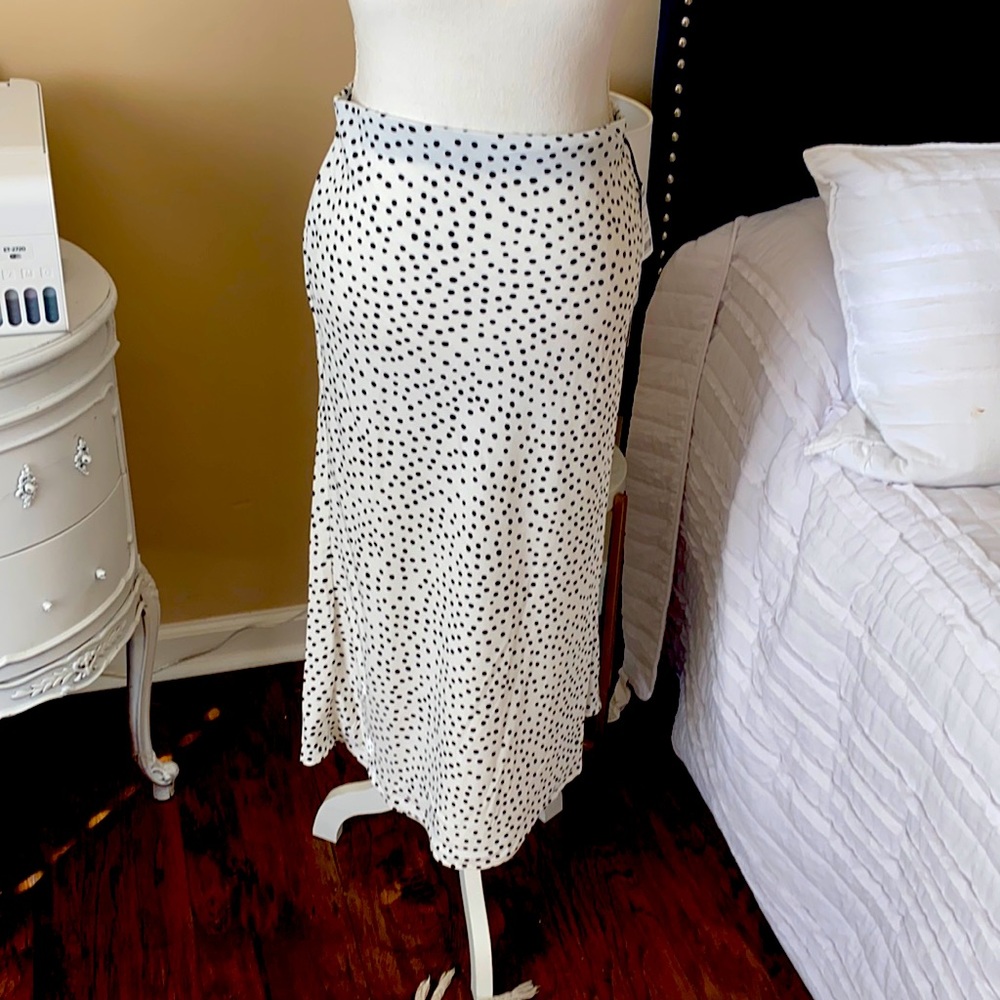 Rachel Zoe Polka Dot Skirt